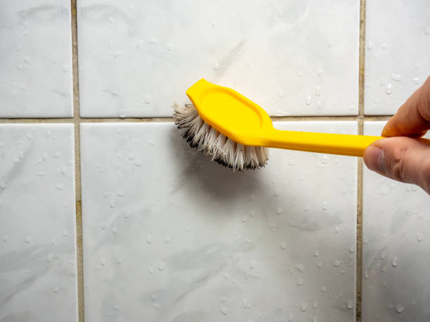 Best Mold Damage Repair  in Pevely, MO