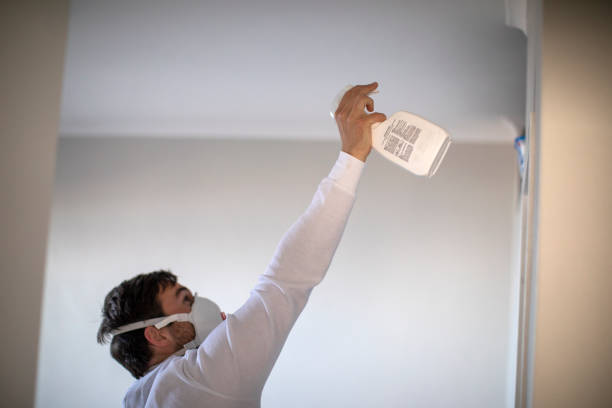 Best Crawl Space Mold Removal  in Pevely, MO