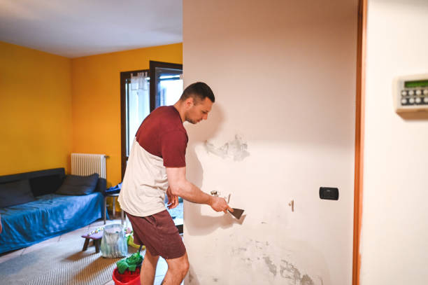 Best Water Damage Restoration  in Pevely, MO